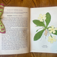 Wayside and Woodland Blossoms: A Pocket Guide to British Wild - Flowers – Edward Step