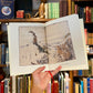 The Original Velveteen Rabbit – Margery Williams and William Nicholson