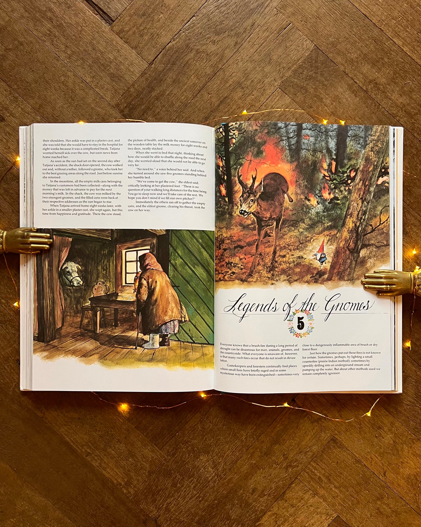 Gnomes – Wil Huygen, Rien Poortvliet