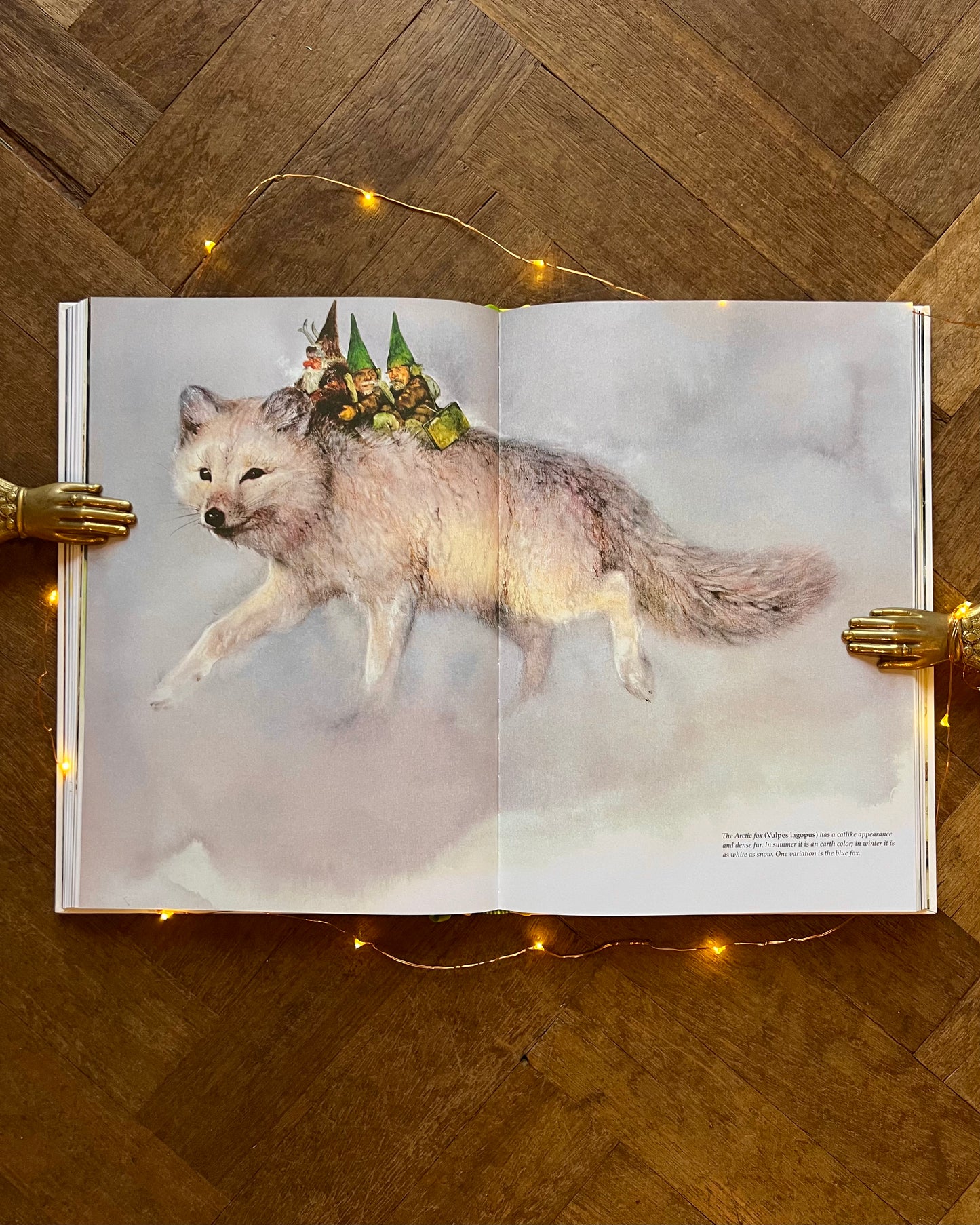 Secrets of the Gnomes – Wil Huygen, Rien Poortvliet