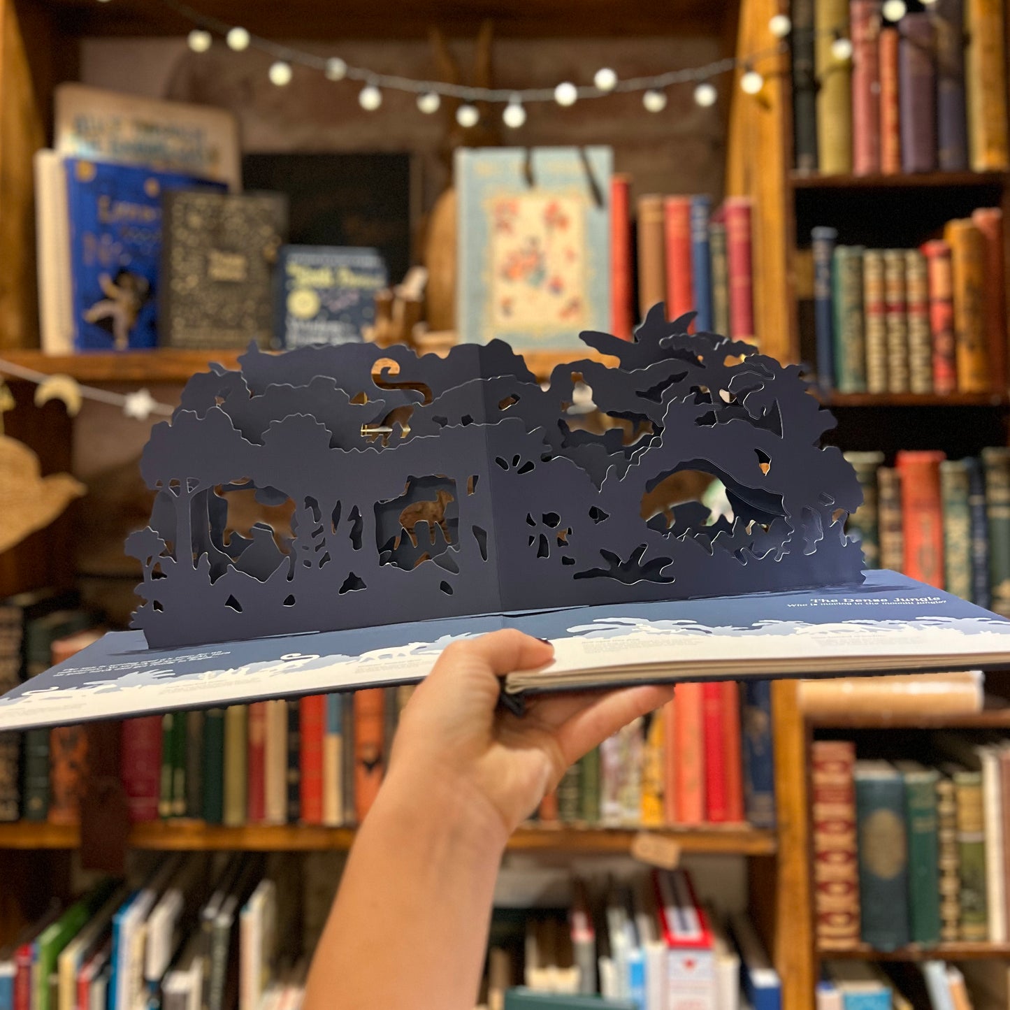 Midnight Creatures: A Pop-Up Shadow Book – Helen Friel