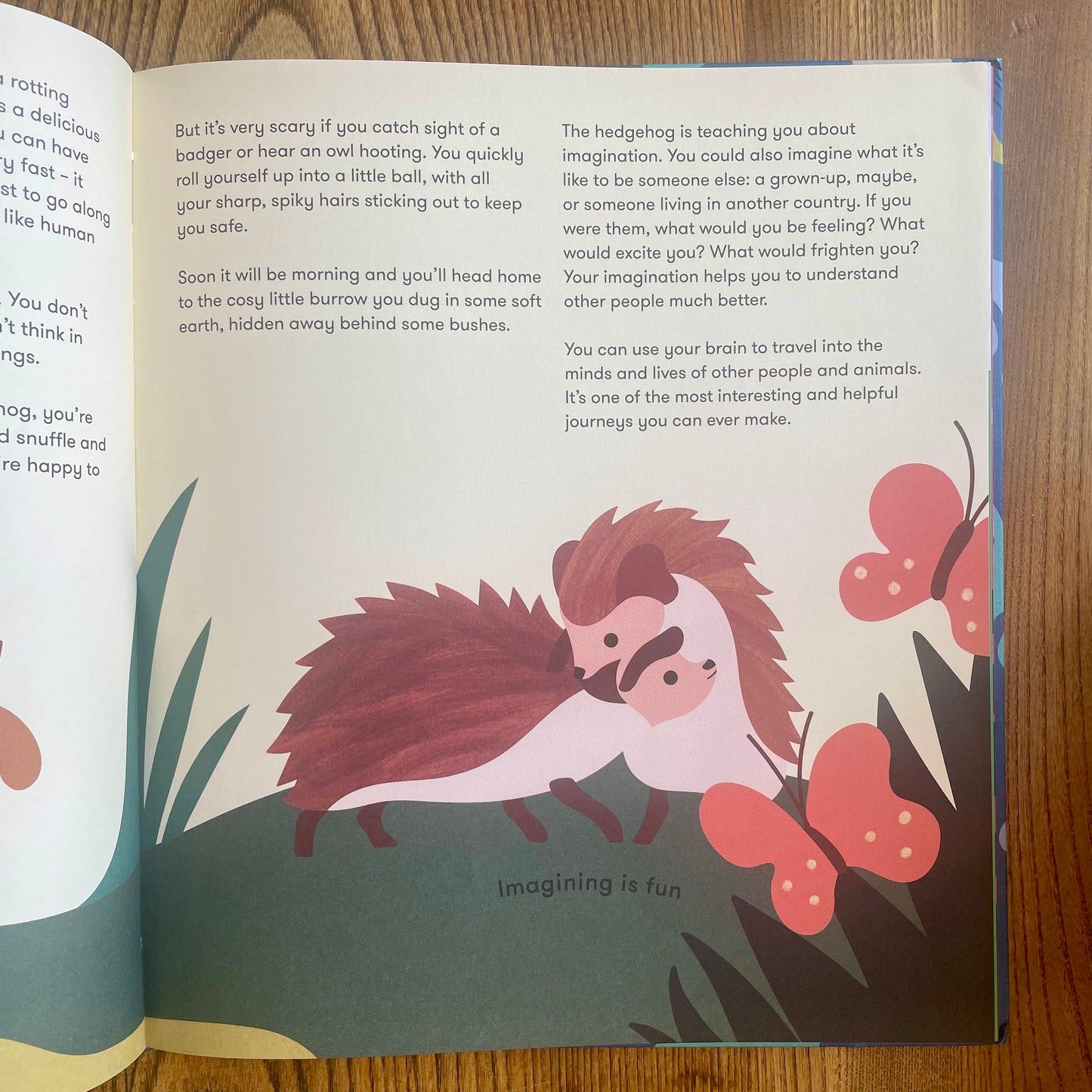 Nature and Me: A Guide to the Joys and Excitements of the Outdoors – The School of Life