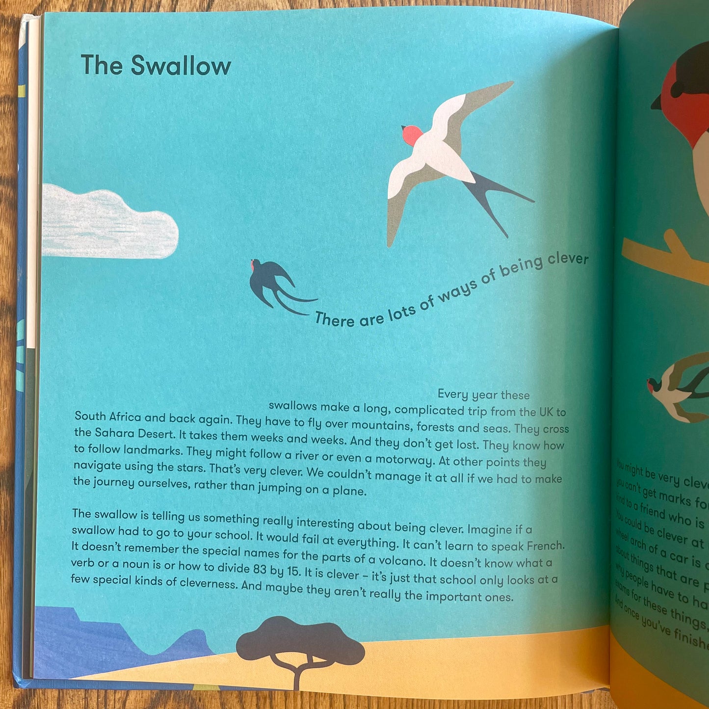 Nature and Me: A Guide to the Joys and Excitements of the Outdoors – The School of Life