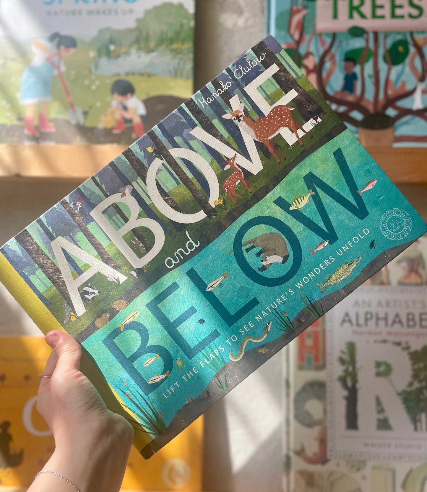 Above and Below – Patricia Hegarty and Hanako Clulow