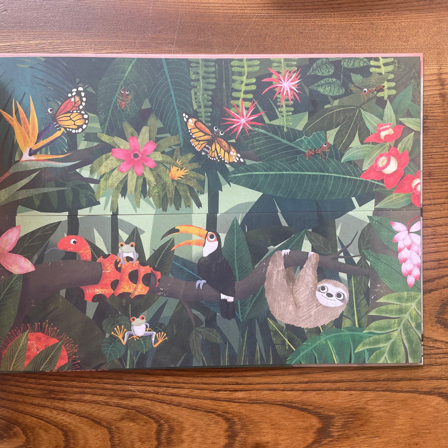 Above and Below – Patricia Hegarty and Hanako Clulow