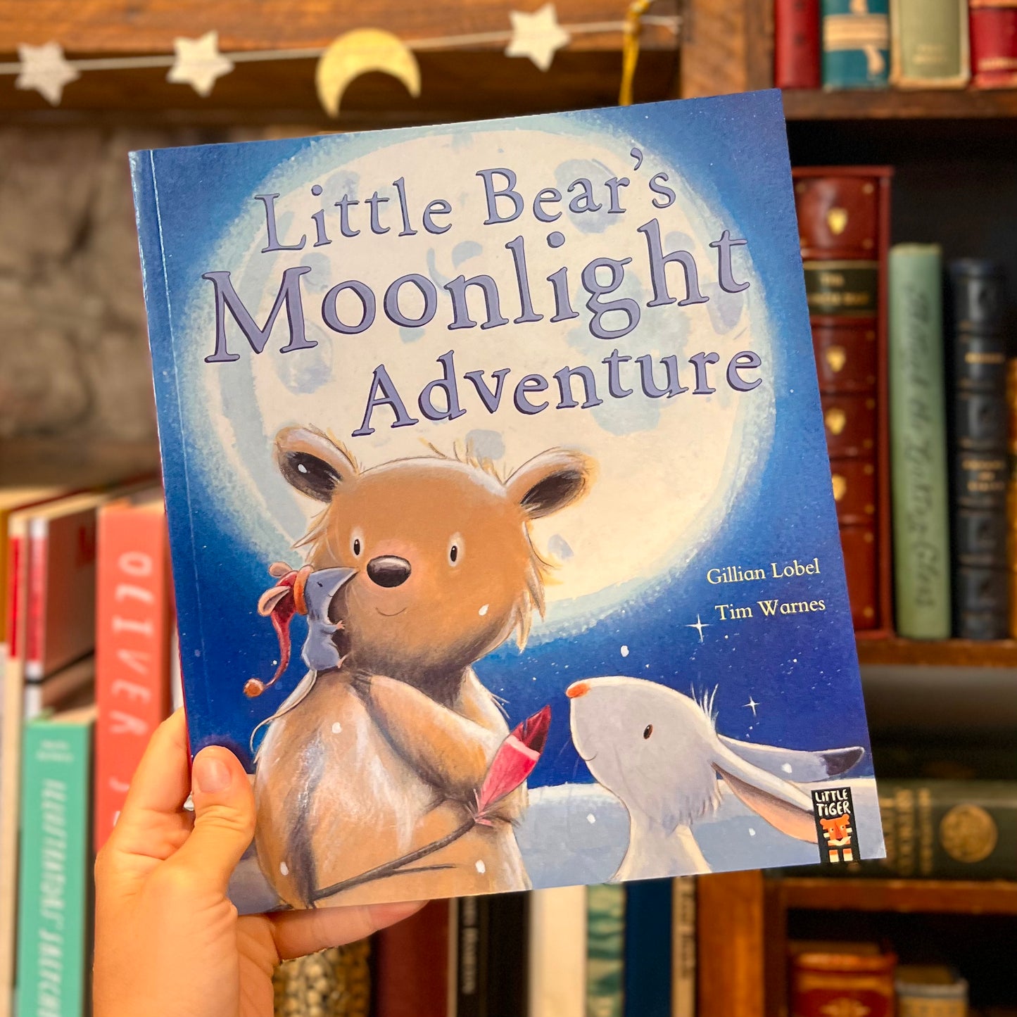 Little Bear's Moonlight Adventure – Gillian Lobel and Tim Warnes