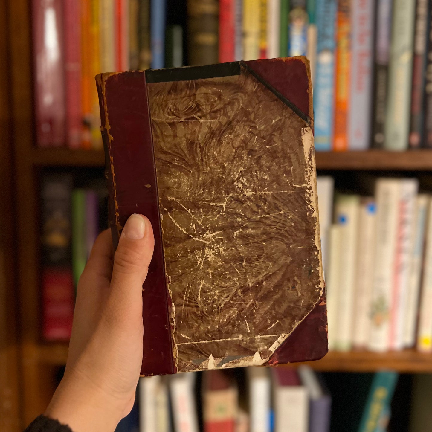 The Book of Household Management (1895) – Isabella Beeton