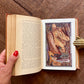 The Red Book of Romance (1905 First Edition) – Andrew Lang, Henry Ford