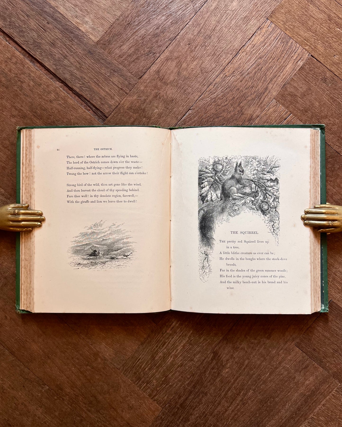 Mary Howitt's Poems of Natural History For the Young (1873)