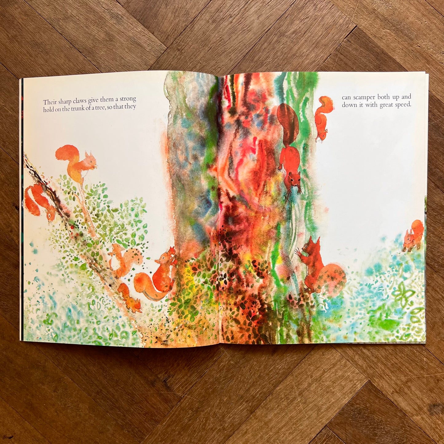 Squirrels  – Brian Wildsmith