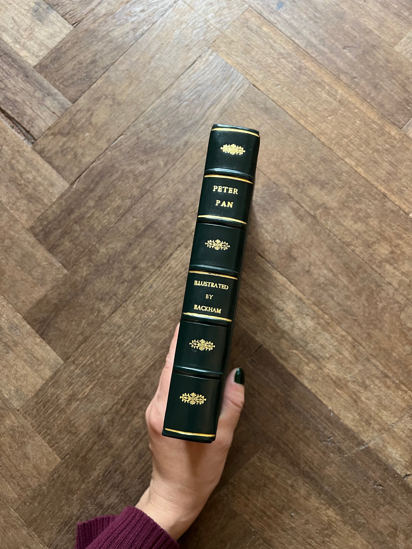 Peter Pan in Kensington Gardens (1911) – J. M. Barrie, Arthur Rackham