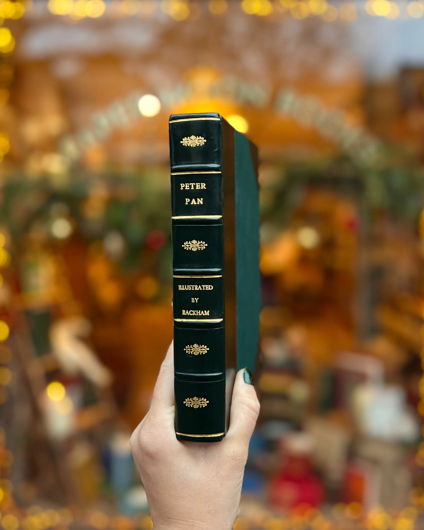 Peter Pan in Kensington Gardens (1911) – J. M. Barrie, Arthur Rackham