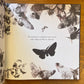 Moth An Evolution Story (Hardcover) – Isabel Thomas and Daniel Egnéus