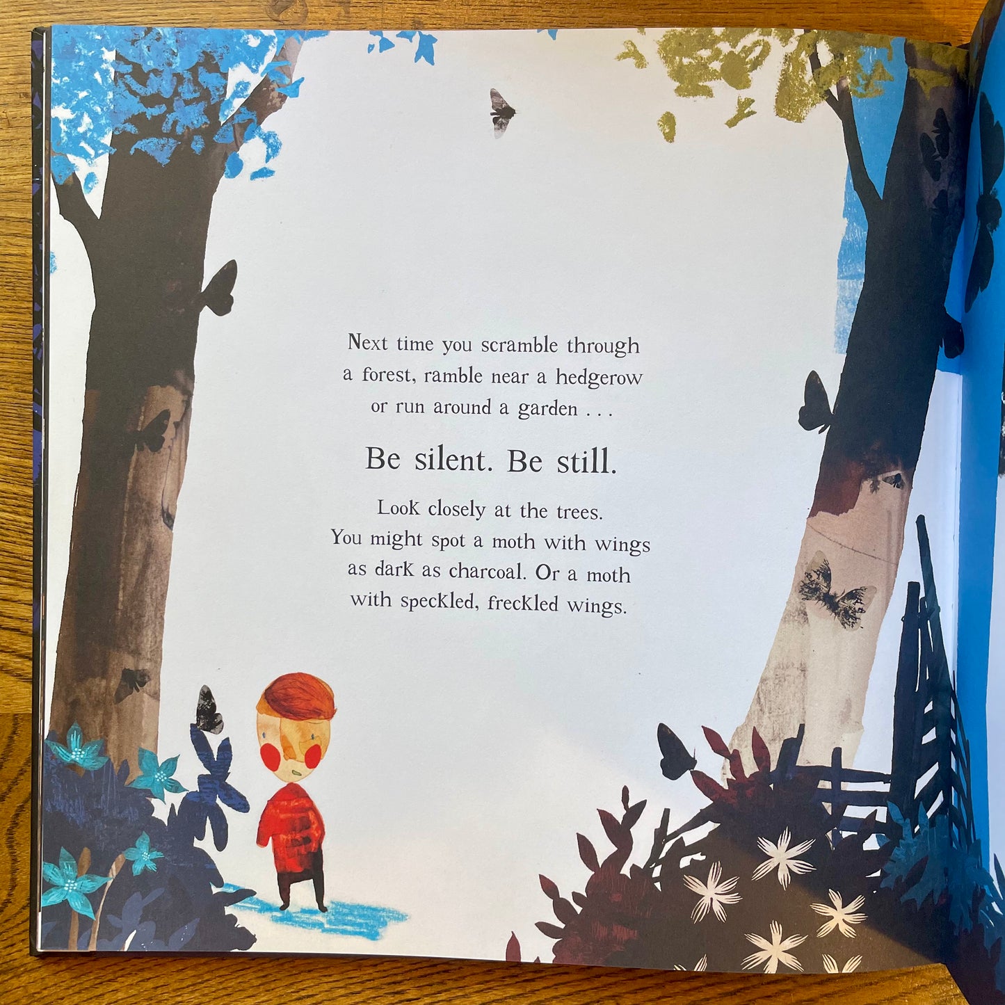 Moth An Evolution Story (Hardcover) – Isabel Thomas and Daniel Egnéus