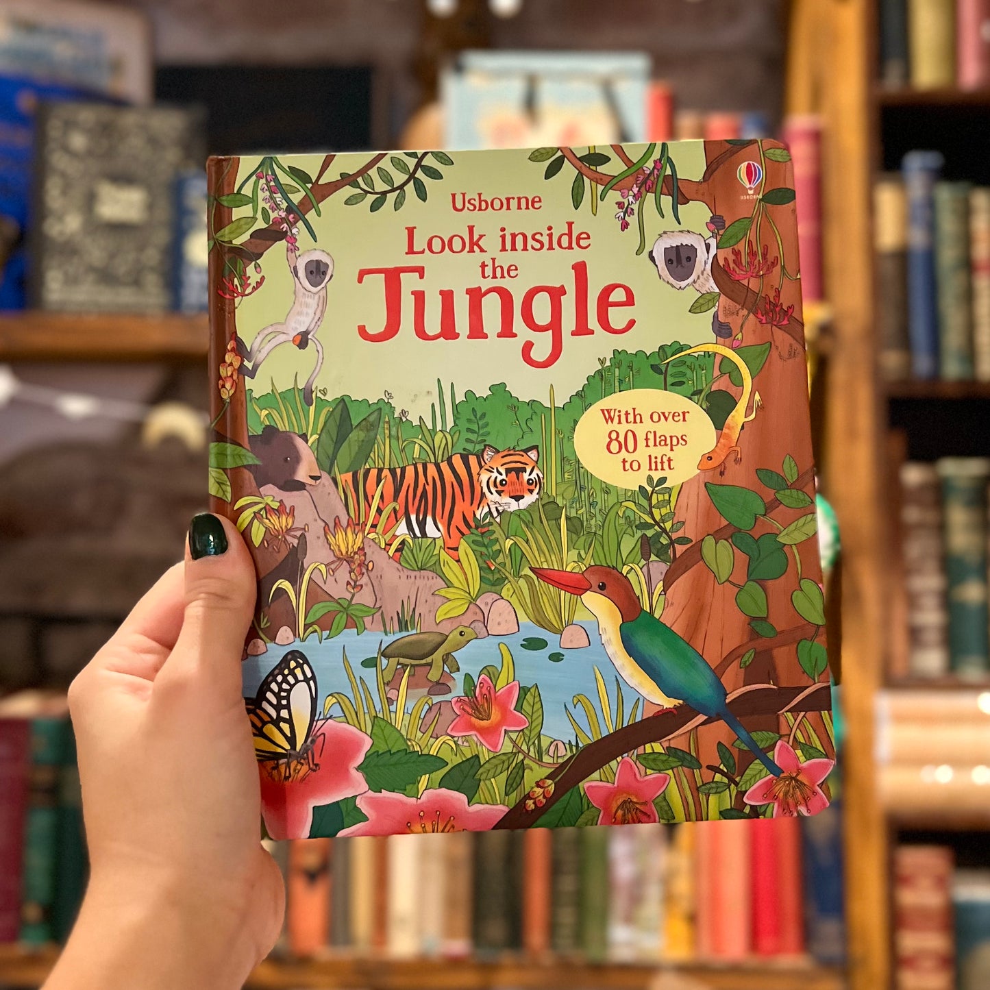 Look Inside the Jungle (Board Book) – Usborne