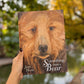 Something About a Bear (Signed) – Jackie Morris