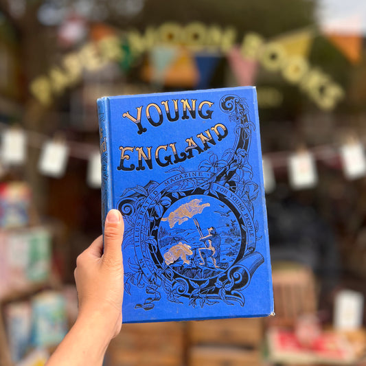 Young England vol. XVIII (1897)