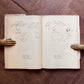 Teapots and Quails and Other New Nonsenses (1954 First Edition, Second Impression) – Edward Lear
