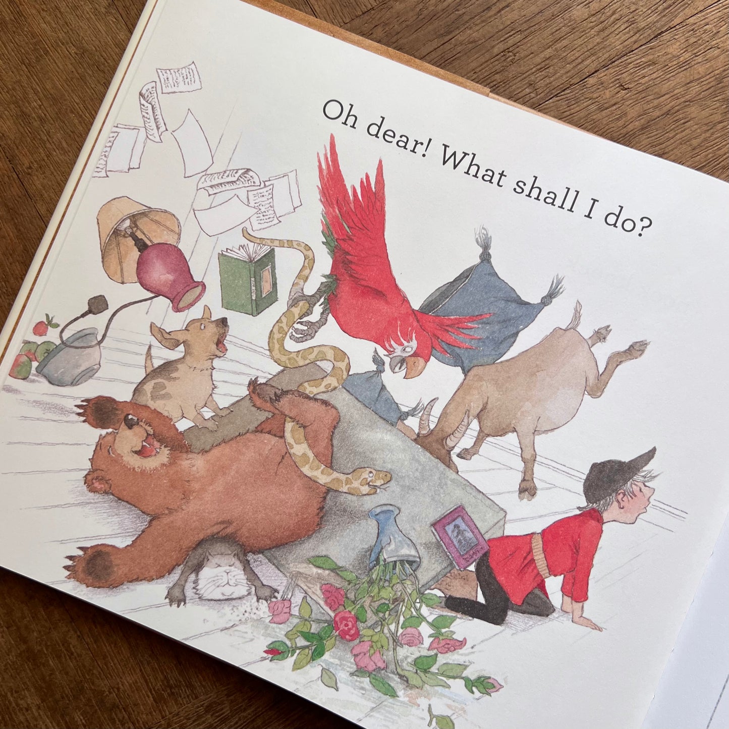 Oh Dear, Look What I Got! – Michael Rosen, Helen Oxenbury