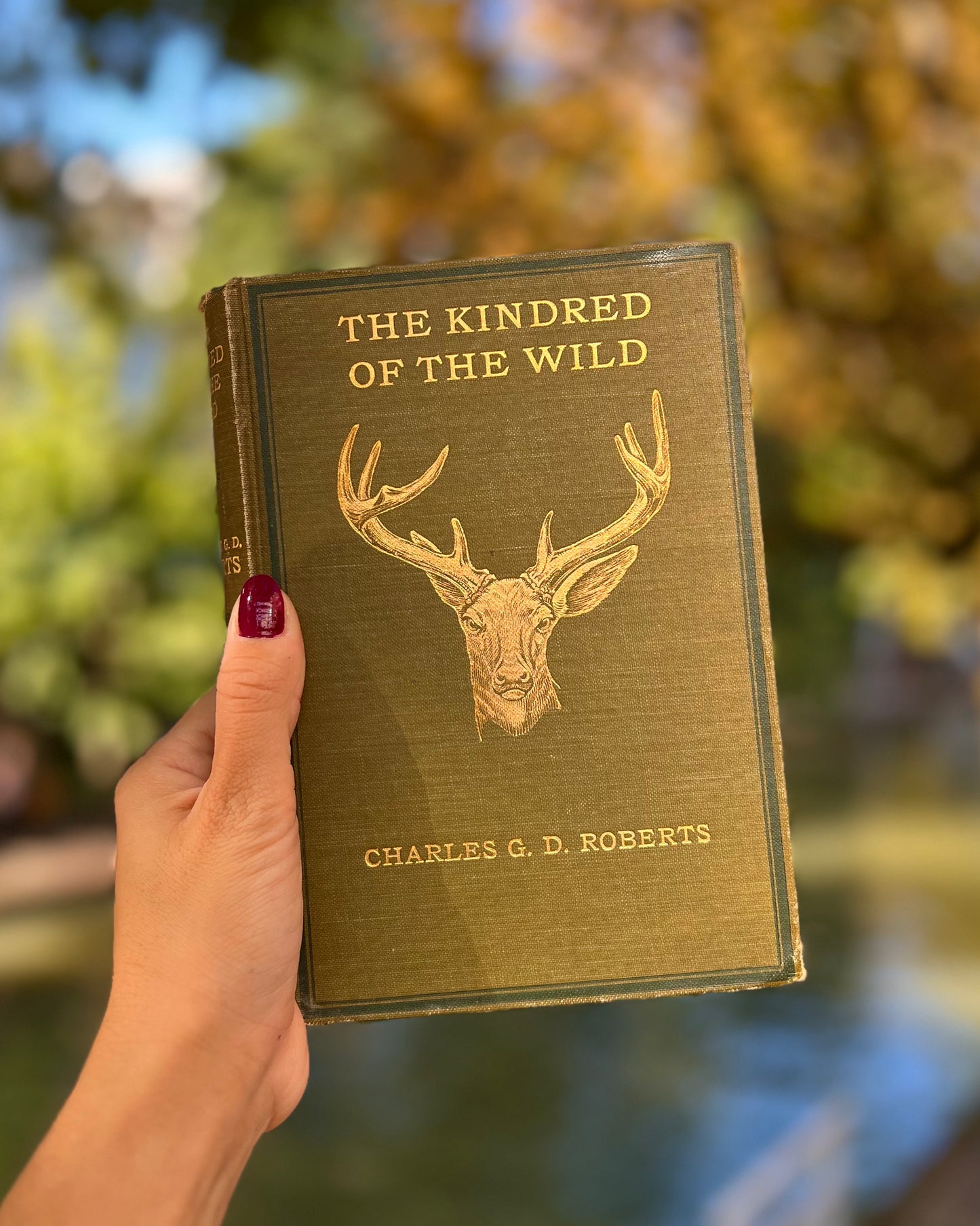 The Kindred of the Wild: A Book of Animal Life – Charles G. D. Roberts, Charles Livingston Bull