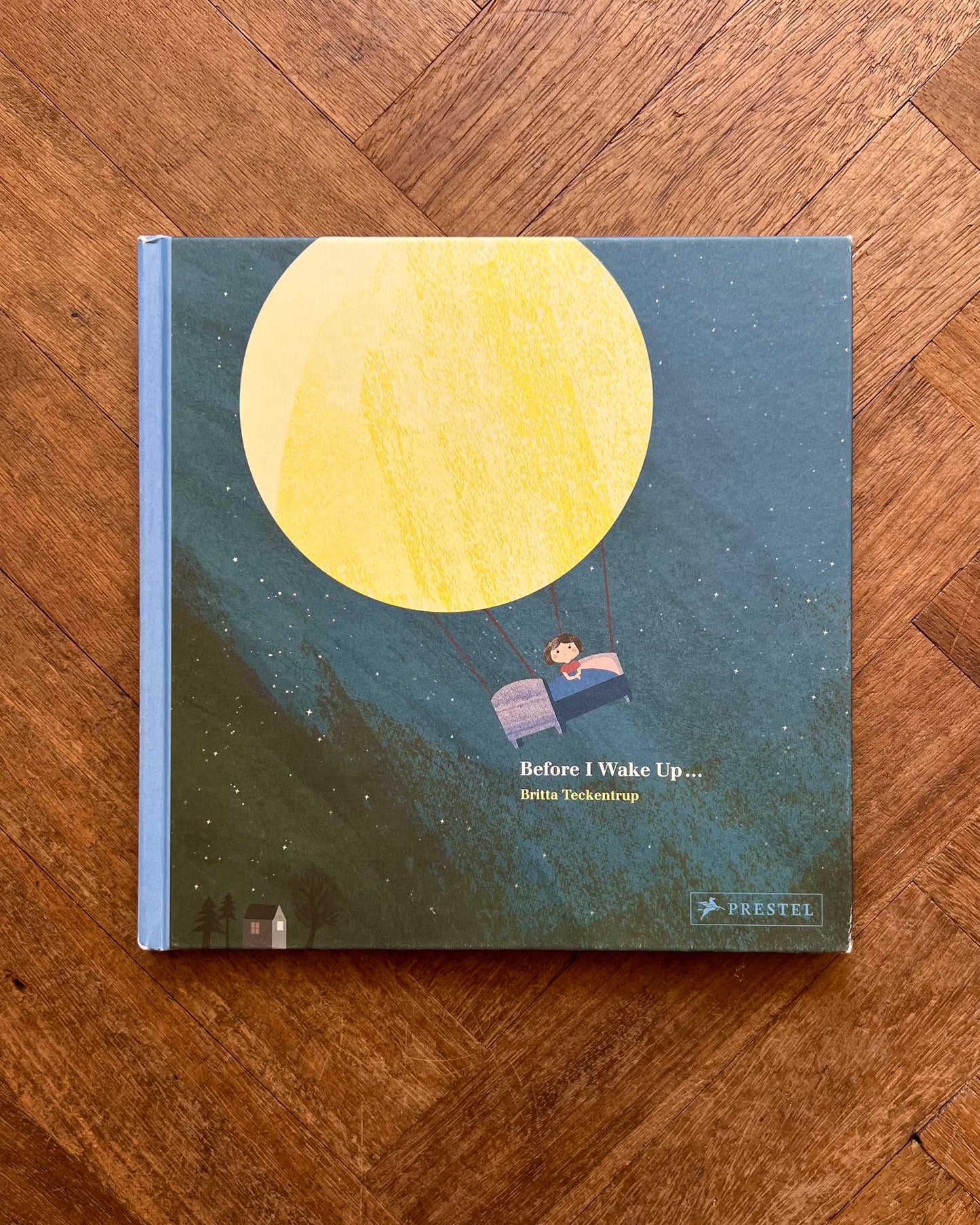 Before I Wake Up (Rare) – Britta Teckentrup