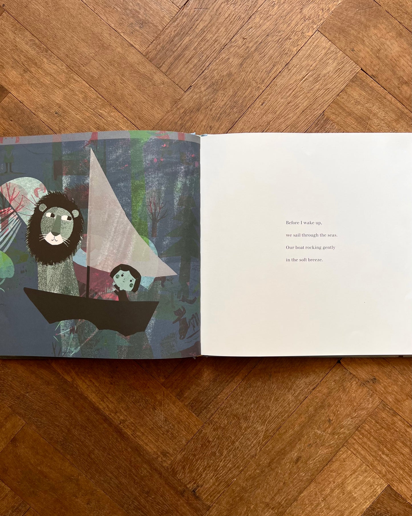 Before I Wake Up (Rare) – Britta Teckentrup