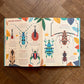 Bonkers About Beetles  – Owen Davey