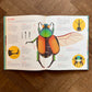 Bonkers About Beetles  – Owen Davey