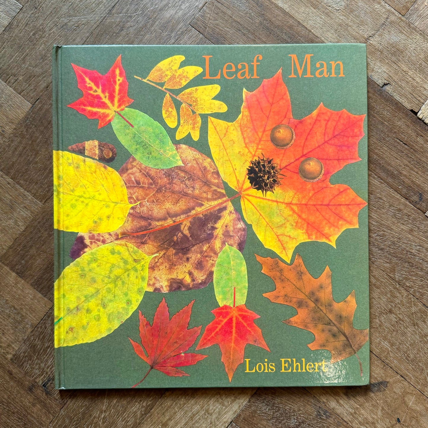 Leaf Man – Lois Ehlert