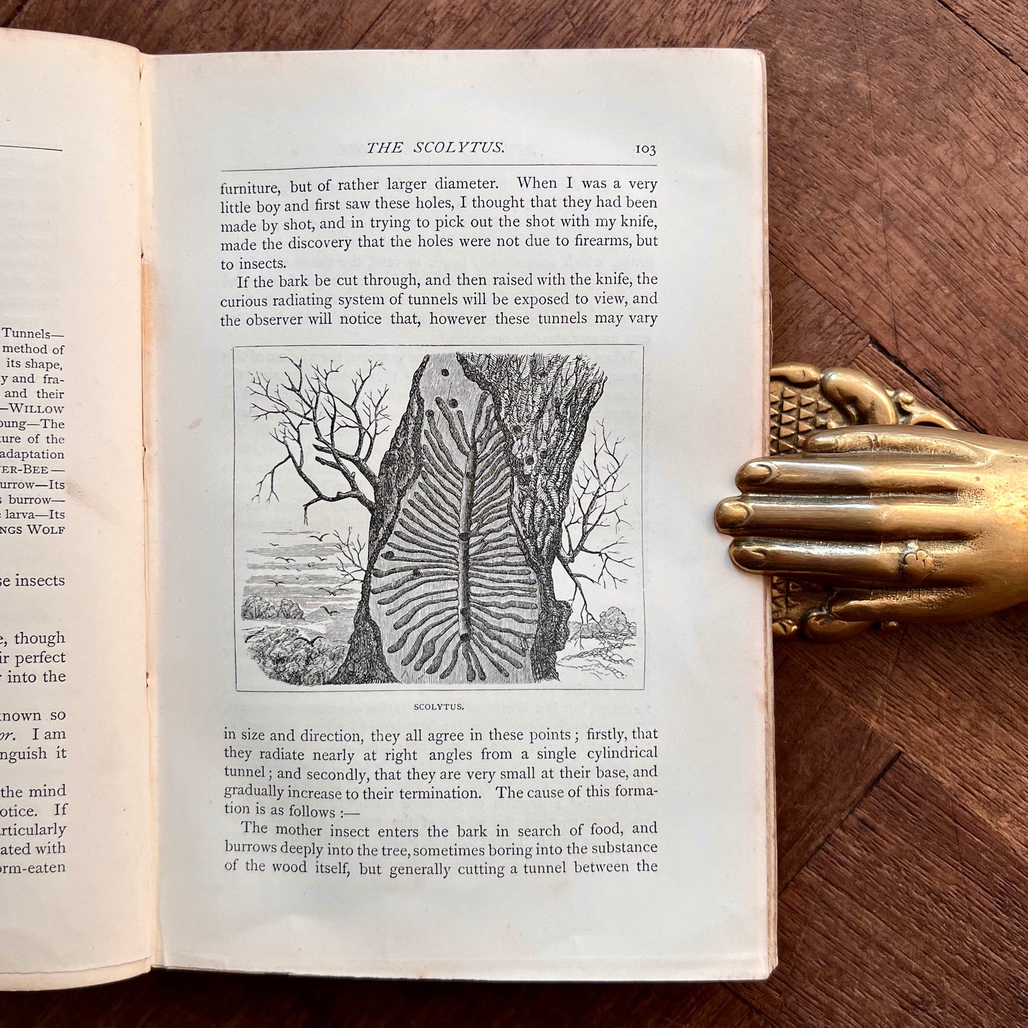 Strange Dwellings (1871) – Rev. J. G. Wood