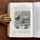 Strange Dwellings (1871) – Rev. J. G. Wood