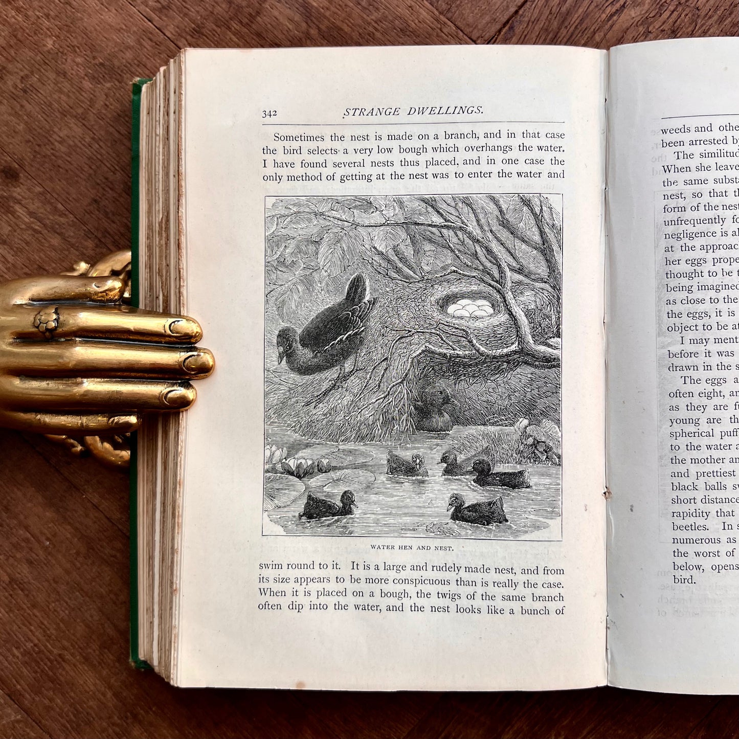 Strange Dwellings (1871) – Rev. J. G. Wood