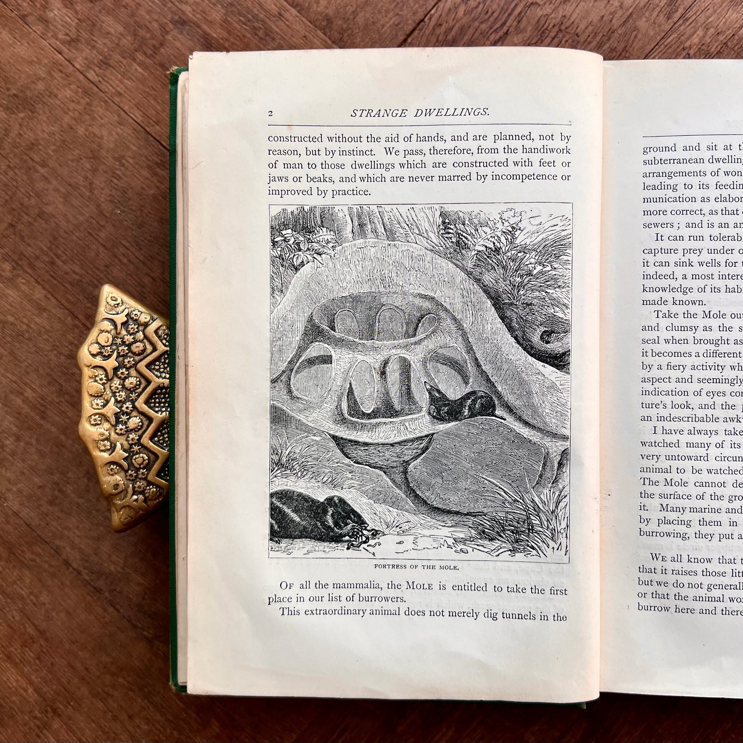 Strange Dwellings (1871) – Rev. J. G. Wood