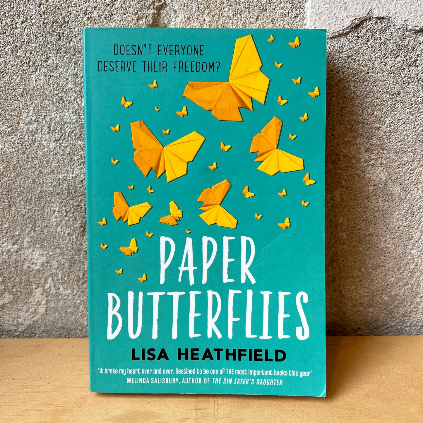 Paper Butterflies – Lisa Heathfield