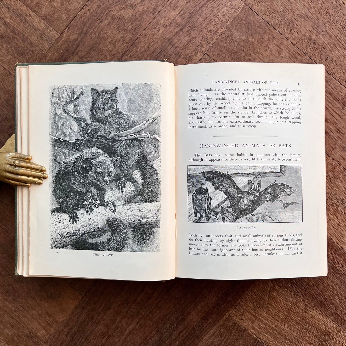 The World of Animal Life – ed. by Fred Smith
