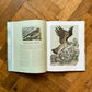 Birds: Explore Their Extraordinary World – Miranda Krestovnikoff and Angela Harding