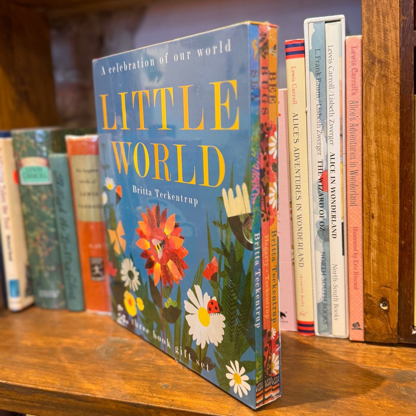 Little World: A Celebration of Our World (Set of 3 Books) – Britta Teckentrup