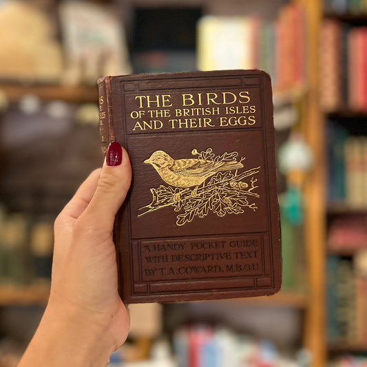 The Birds of the British Isles and Their Eggs (1925) – T. A. Coward
