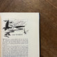 Tales from Shakespeare (1909 First Edition) – Charles Lamb, Mary Lamb and Arthur Rackham