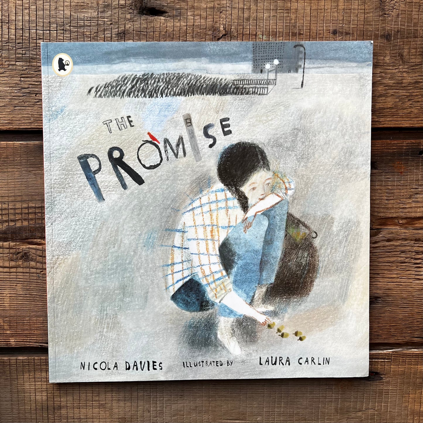 The Promise – Nicola Davies, Laura Carlin