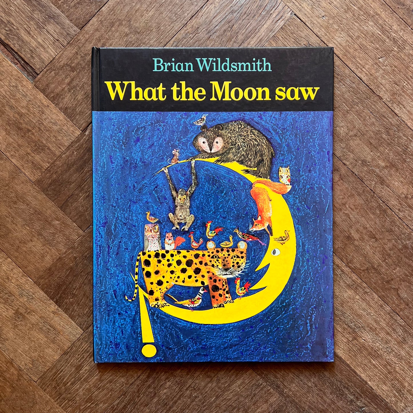 What the Moon Saw (1978 First Edition) – Brian Wildsmith