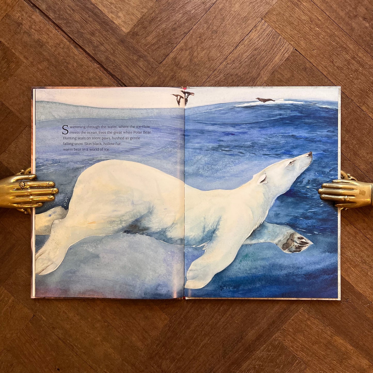 Something about a Bear (Signed) – Jackie Morris
