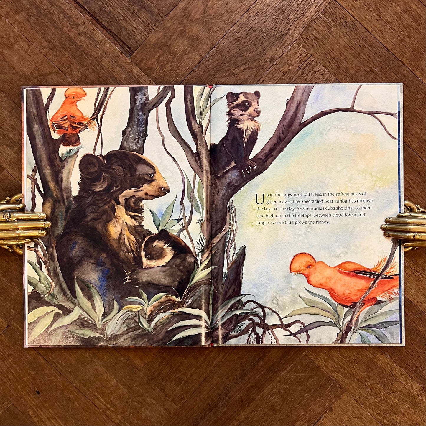 Something about a Bear (Signed) – Jackie Morris