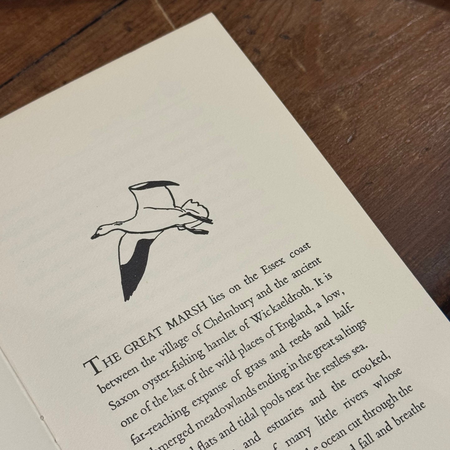 The Snow Goose (1970) – Paul Gallico