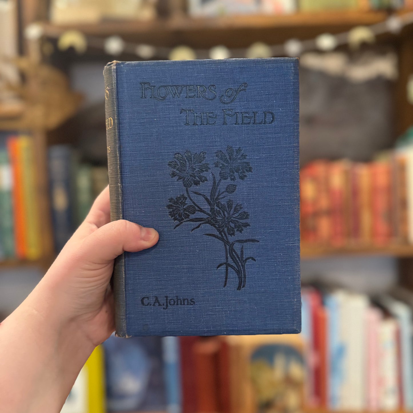 Flowers of the Field (1925) – C.A. Johns