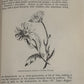 Flowers of the Field (1925) – C.A. Johns