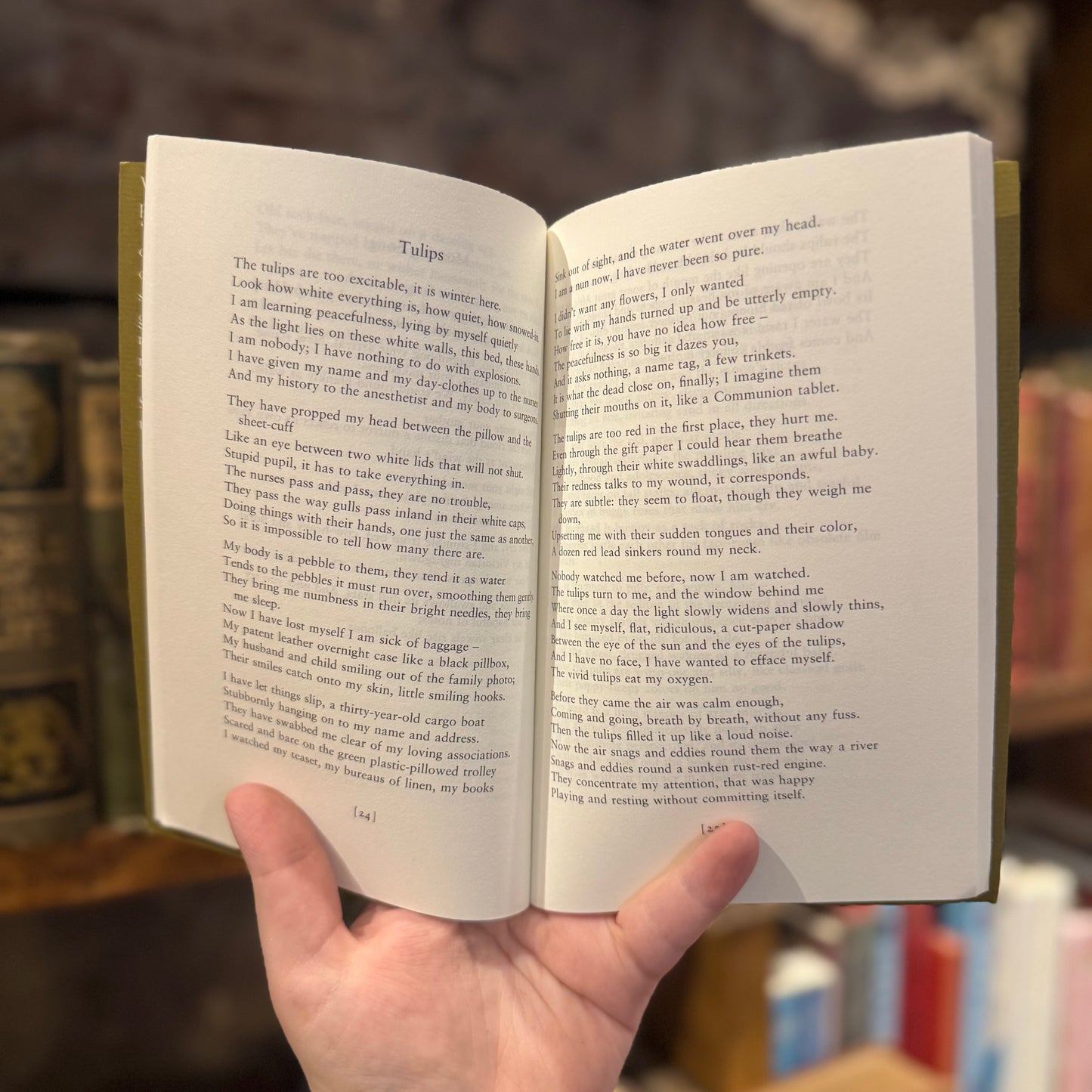 Selected Poems – Sylvia Plath