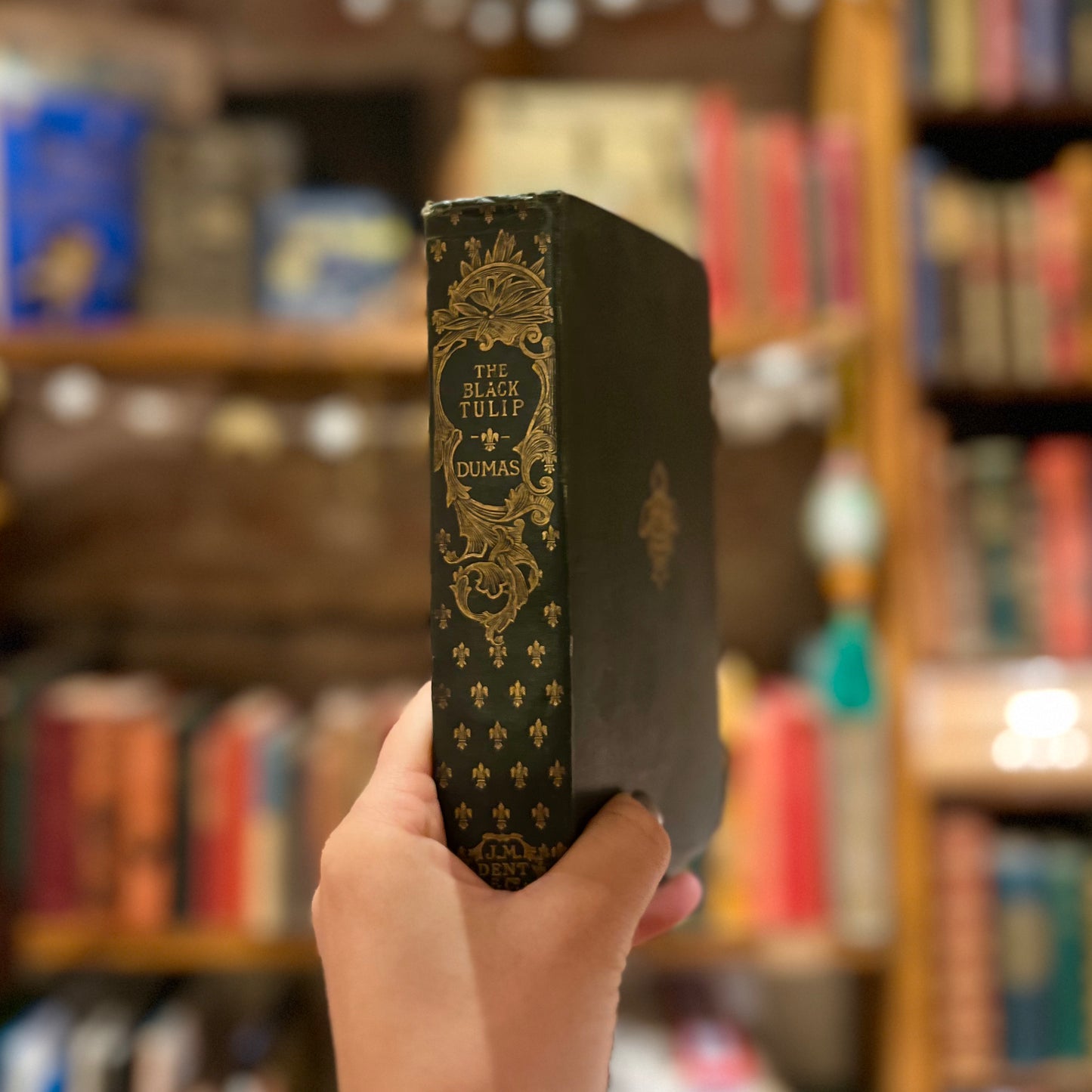 The Black Tulip (1897) – Alexandre Dumas