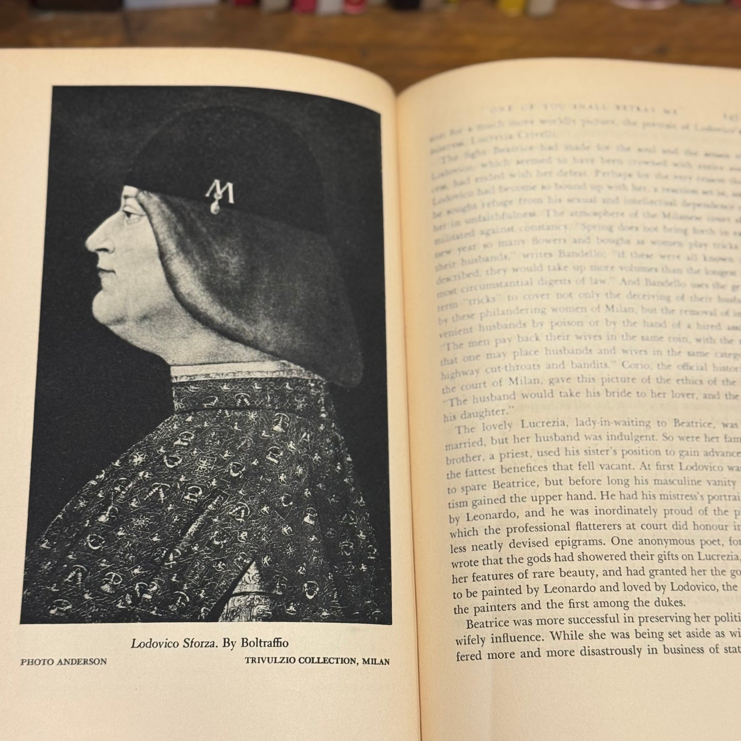 Leonardo Da Vinci: The Tragic Pursuit of Perfection – Antonia Vallentin