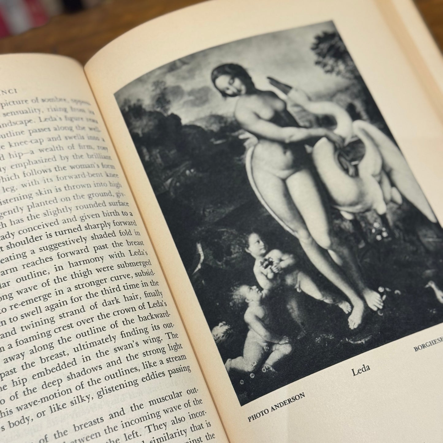 Leonardo Da Vinci: The Tragic Pursuit of Perfection – Antonia Vallentin